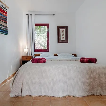 Casa Kiky, Boho-chic With Botanical Garden Villa La Oliva